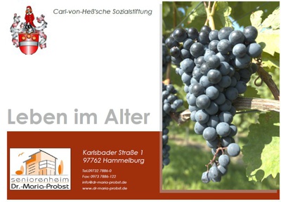 Leben im Alter